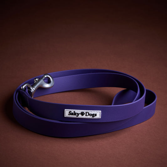 Laisse WIMEREUX violette