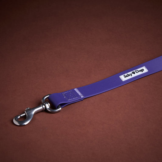 Laisse WIMEREUX violette