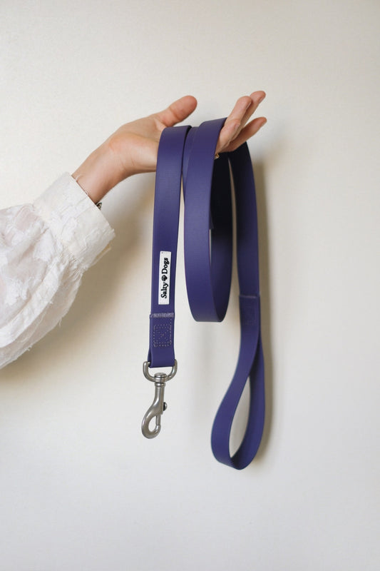 Laisse WIMEREUX violette